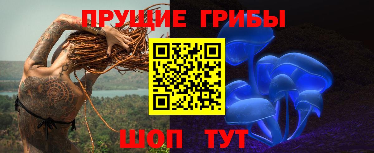 Псилоцибиновые грибы Psilocybine cubensis  Вход с VPN  Каменка 